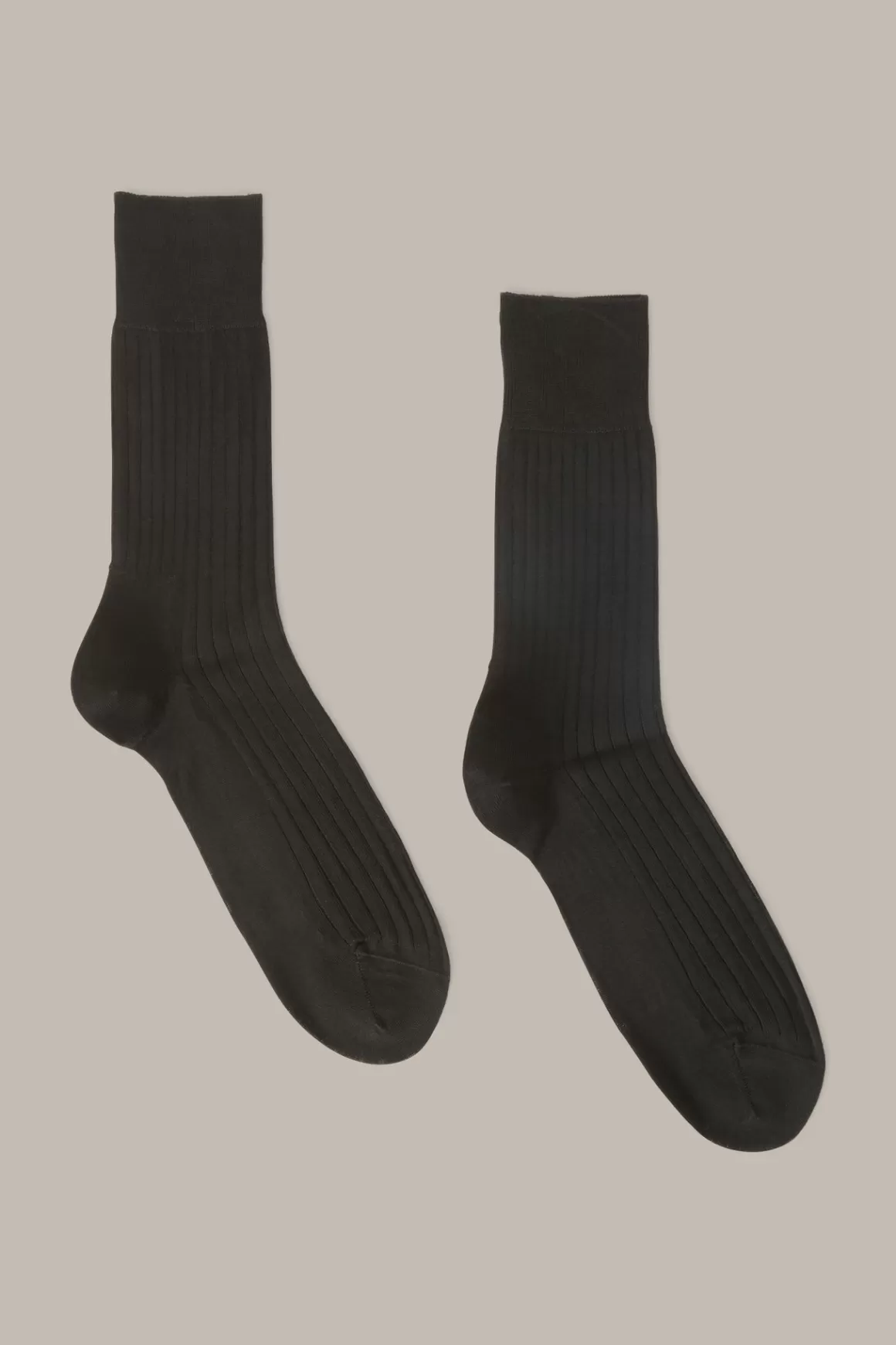 Black Socks<Windsor Online